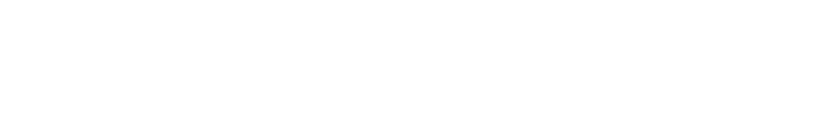 happyDomain logo white