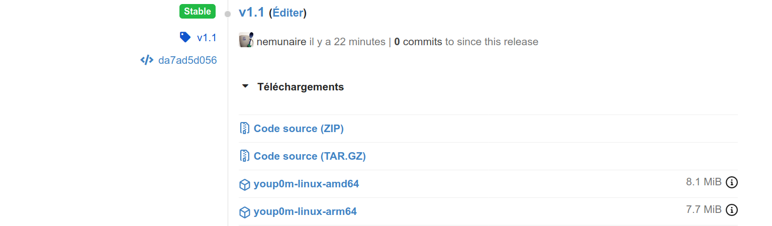 Binaire publié automatiquement sur Gitea