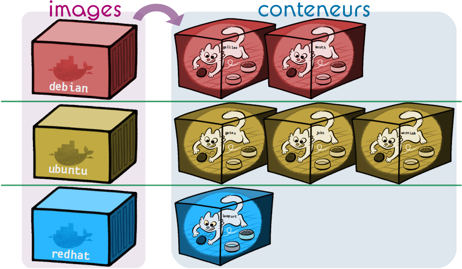 Images vs. conteneurs