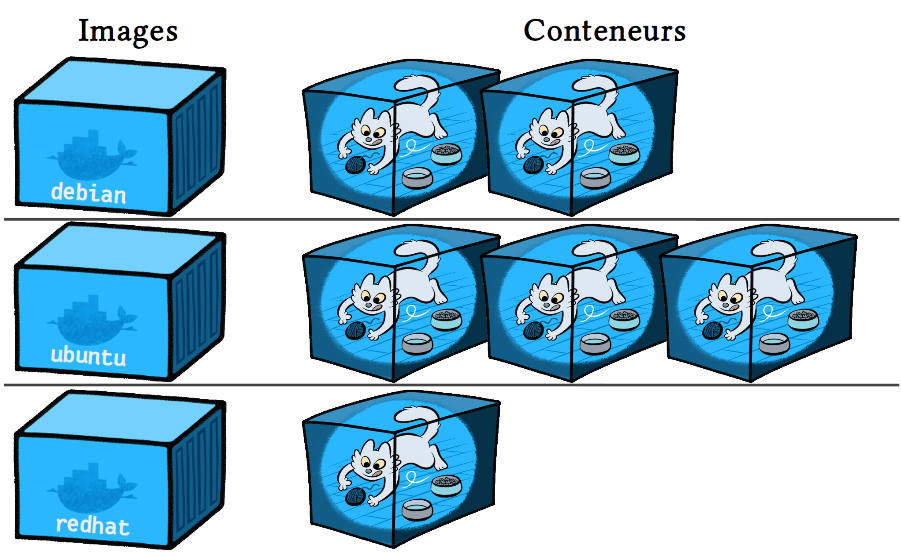 Images vs. conteneurs